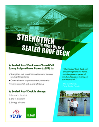 Thumbnail of document BASF DDS Flash Brochure